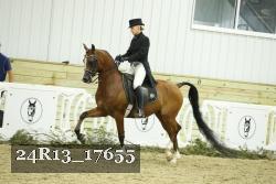 24R13_17655 thumbnail