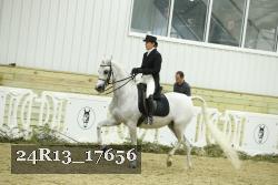 24R13_17656 thumbnail