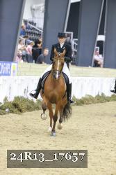 24R13_17657 thumbnail