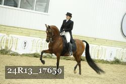 24R13_17659 thumbnail
