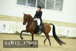 24R13_17661 thumbnail