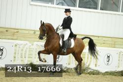 24R13_17666 thumbnail