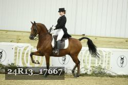 24R13_17667 thumbnail