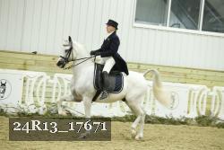 24R13_17671 thumbnail