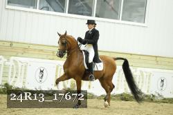 24R13_17672 thumbnail