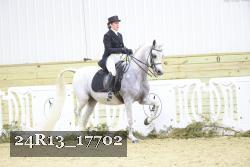 24R13_17702 thumbnail