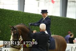 24R13_17706 thumbnail