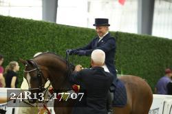 24R13_17707 thumbnail