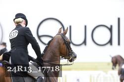 24R13_17718 thumbnail