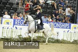 24R13_17723 thumbnail