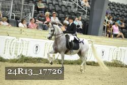 24R13_17726 thumbnail
