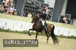 24R13_17729 thumbnail