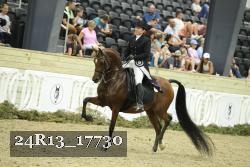 24R13_17730 thumbnail
