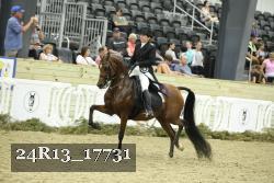 24R13_17731 thumbnail