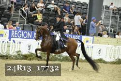 24R13_17732 thumbnail