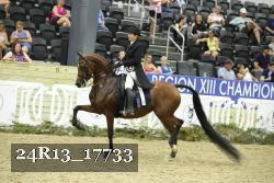 24R13_17733 thumbnail