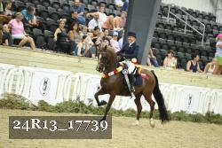 24R13_17739 thumbnail