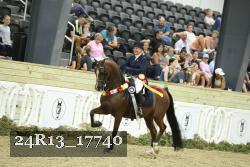 24R13_17740 thumbnail