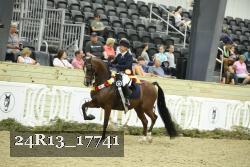24R13_17741 thumbnail