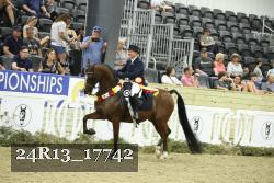 24R13_17742 thumbnail