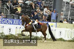24R13_17743 thumbnail