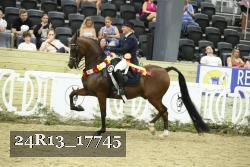 24R13_17745 thumbnail