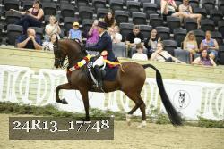 24R13_17748 thumbnail