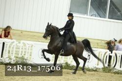 24R13_17506 thumbnail