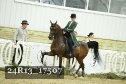 24R13_17507 thumbnail