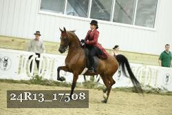 24R13_17508 thumbnail
