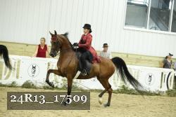 24R13_17509 thumbnail