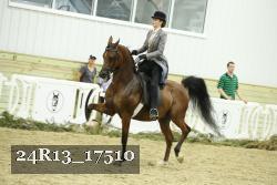24R13_17510 thumbnail