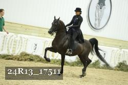 24R13_17511 thumbnail