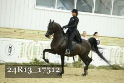 24R13_17512 thumbnail