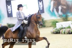 24R13_17513 thumbnail