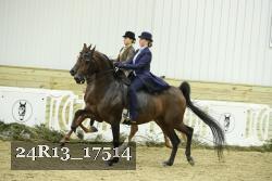 24R13_17514 thumbnail