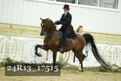 24R13_17515 thumbnail