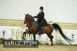 24R13_17516 thumbnail