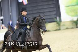 24R13_17517 thumbnail