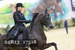 24R13_17518 thumbnail