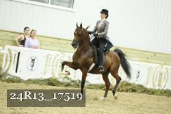 24R13_17519 thumbnail