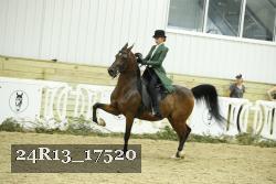 24R13_17520 thumbnail