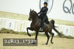 24R13_17522 thumbnail