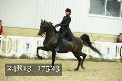 24R13_17523 thumbnail