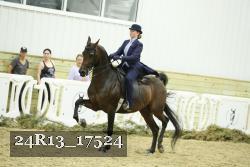 24R13_17524 thumbnail