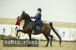 24R13_17525 thumbnail