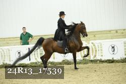 24R13_17539 thumbnail