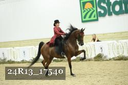 24R13_17540 thumbnail