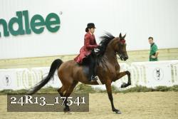 24R13_17541 thumbnail