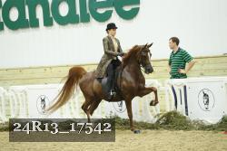 24R13_17542 thumbnail
